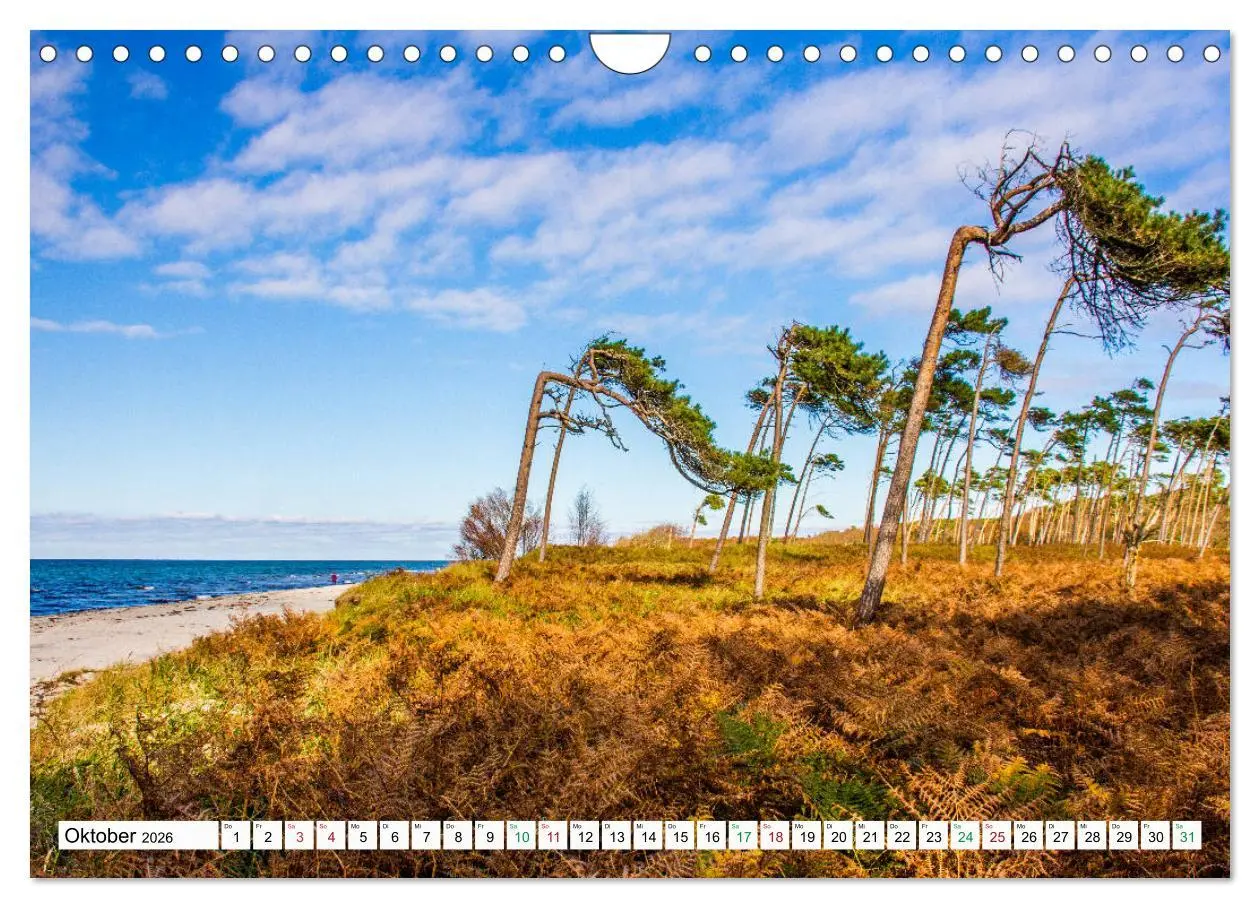 Bild: 9783457248348 | Darßer Weststrand - Fischland Darß Zingst (Wandkalender 2026 DIN A4...