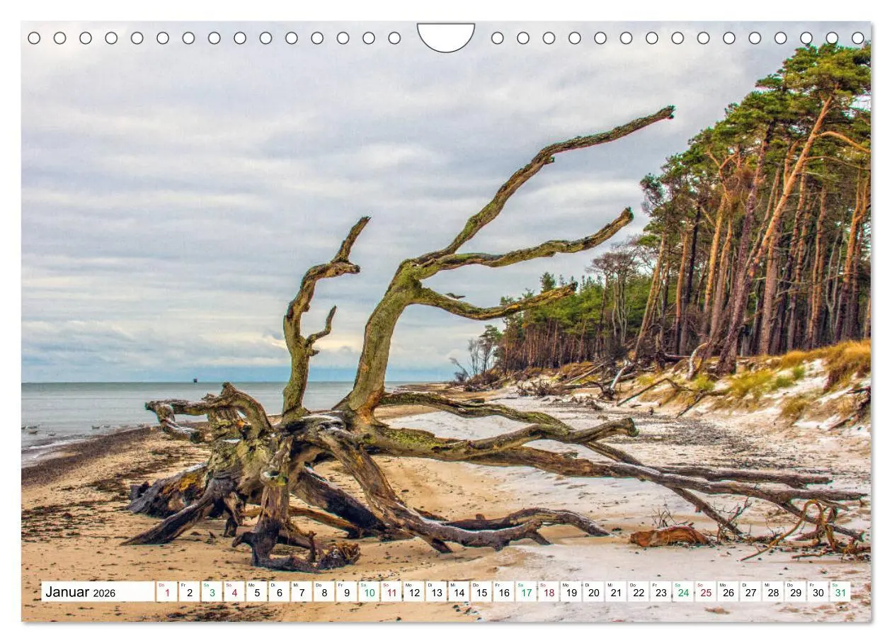 Bild: 9783457248348 | Darßer Weststrand - Fischland Darß Zingst (Wandkalender 2026 DIN A4...