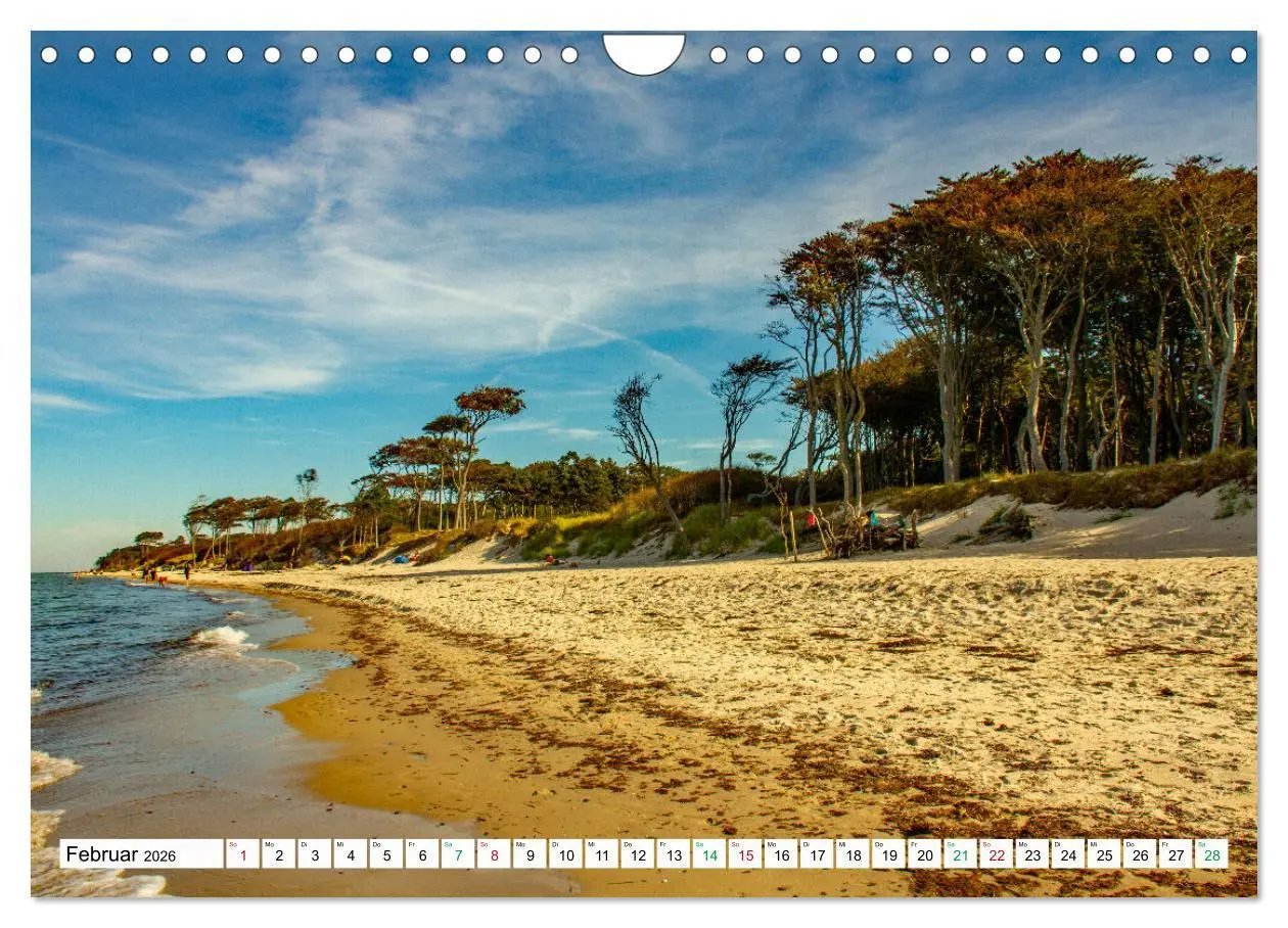 Bild: 9783457248348 | Darßer Weststrand - Fischland Darß Zingst (Wandkalender 2026 DIN A4...