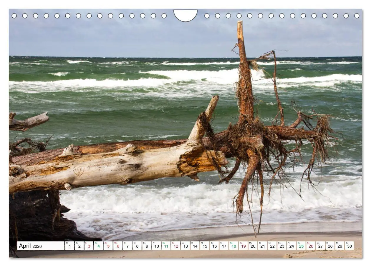 Bild: 9783457248348 | Darßer Weststrand - Fischland Darß Zingst (Wandkalender 2026 DIN A4...