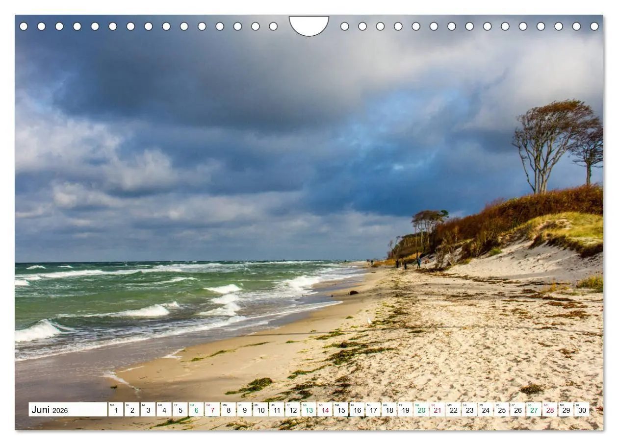 Bild: 9783457248348 | Darßer Weststrand - Fischland Darß Zingst (Wandkalender 2026 DIN A4...