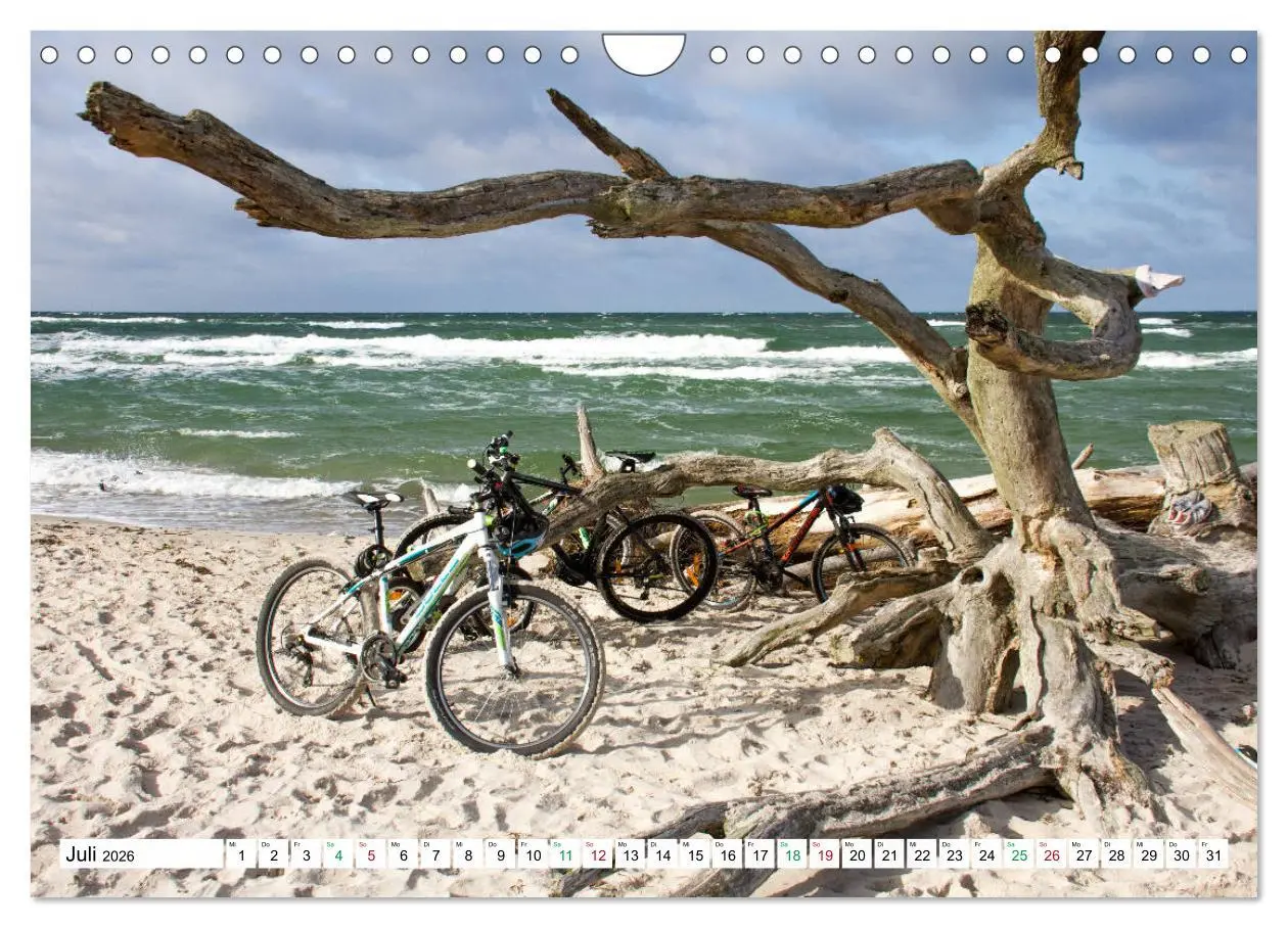 Bild: 9783457248348 | Darßer Weststrand - Fischland Darß Zingst (Wandkalender 2026 DIN A4...