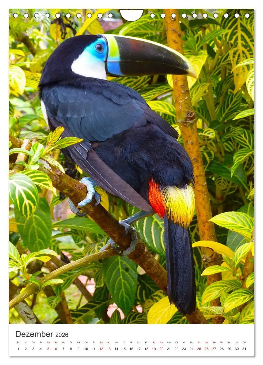 Bild: 9783516338348 | Eine Abenteuerreise durch Peru (Wandkalender 2026 DIN A4 hoch),...