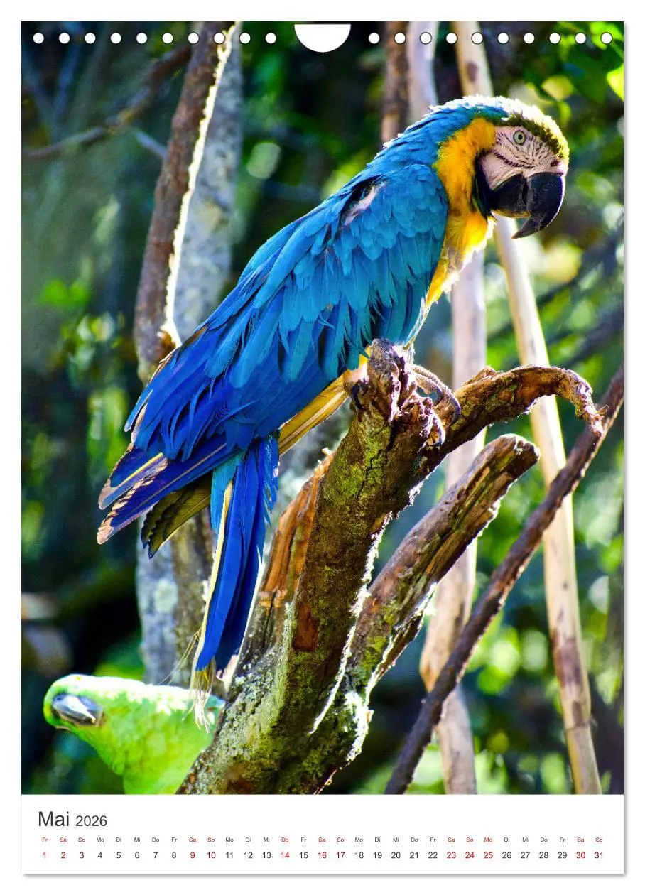 Bild: 9783516338348 | Eine Abenteuerreise durch Peru (Wandkalender 2026 DIN A4 hoch),...