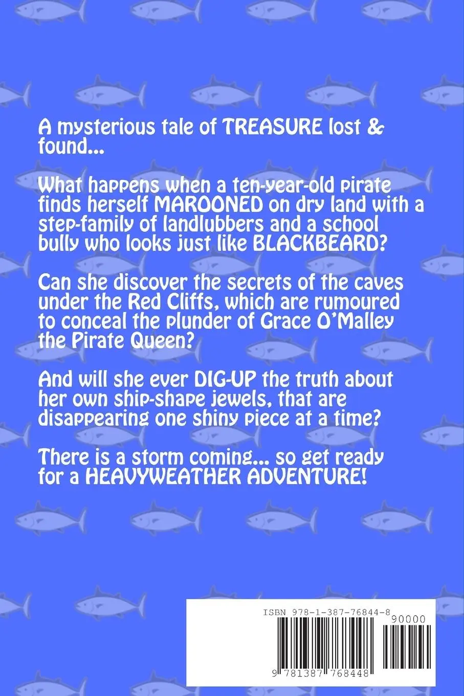 Rückseite: 9781387768448 | Stormy Seas On Dry Land | Ej Fredrickson | Taschenbuch | Englisch