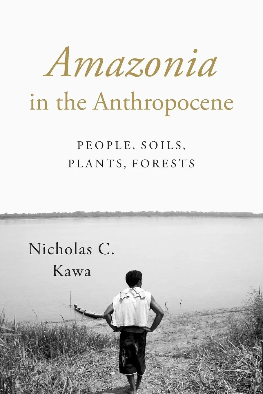 Cover: 9781477308448 | Amazonia in the Anthropocene | People, Soils, Plants, Forests | Kawa