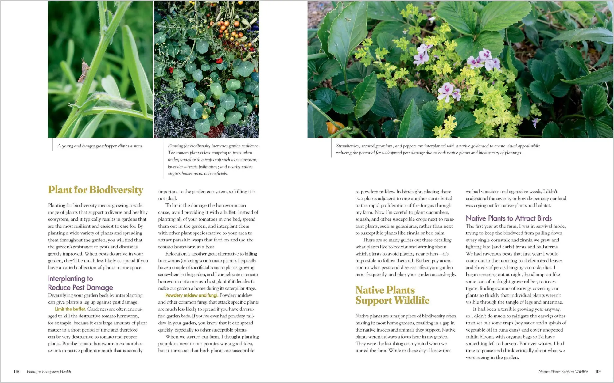Bild: 9781635868548 | The Regenerative Gardener's Handbook | Briana S. Bosch | Taschenbuch