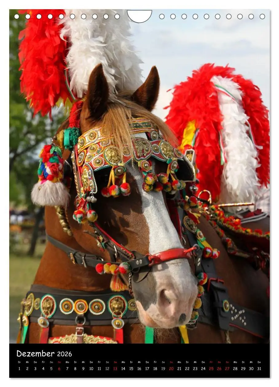 Bild: 9783516488548 | Kaltblüter (Wandkalender 2026 DIN A4 hoch), CALVENDO Monatskalender