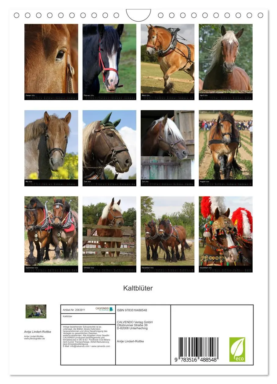 Bild: 9783516488548 | Kaltblüter (Wandkalender 2026 DIN A4 hoch), CALVENDO Monatskalender
