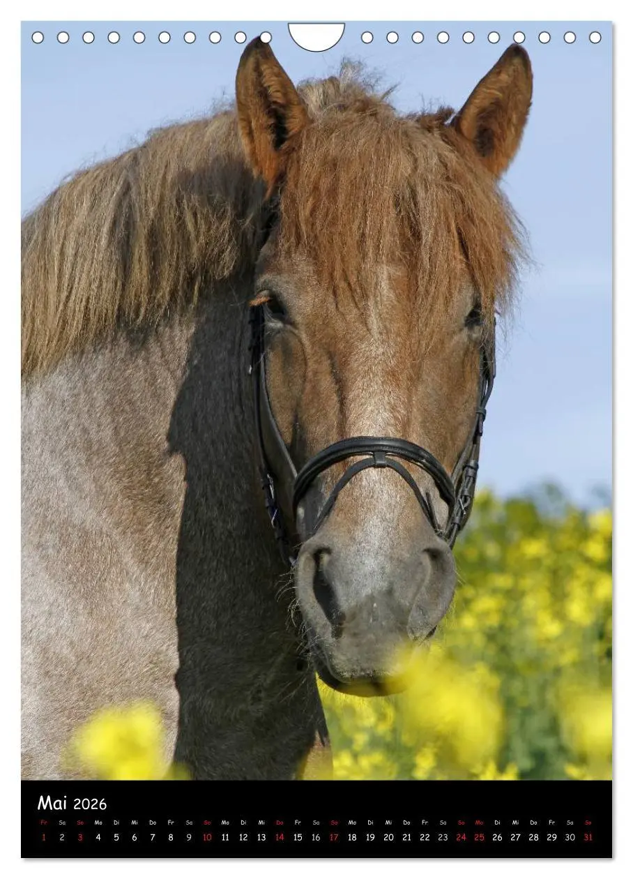 Bild: 9783516488548 | Kaltblüter (Wandkalender 2026 DIN A4 hoch), CALVENDO Monatskalender