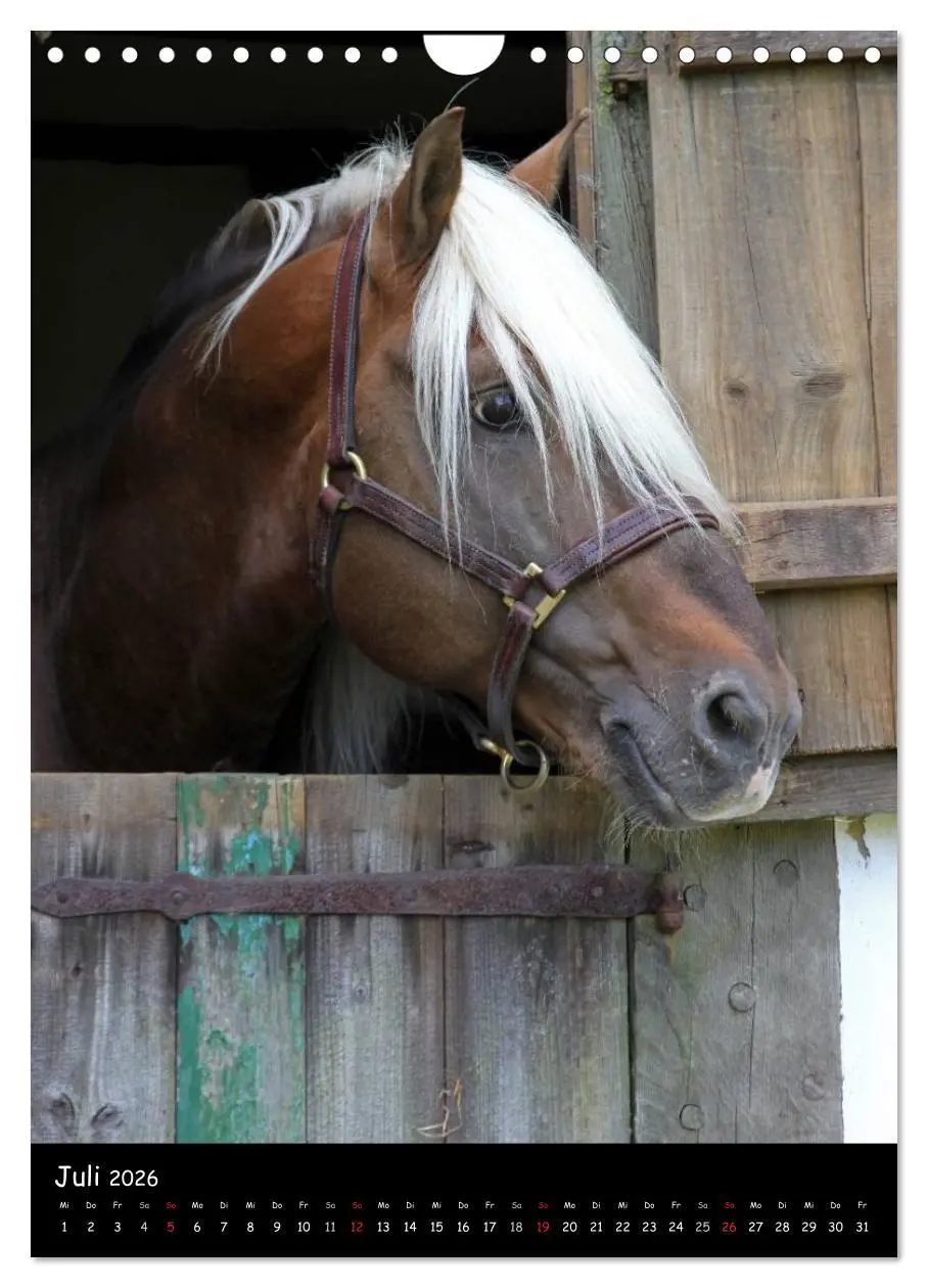 Bild: 9783516488548 | Kaltblüter (Wandkalender 2026 DIN A4 hoch), CALVENDO Monatskalender
