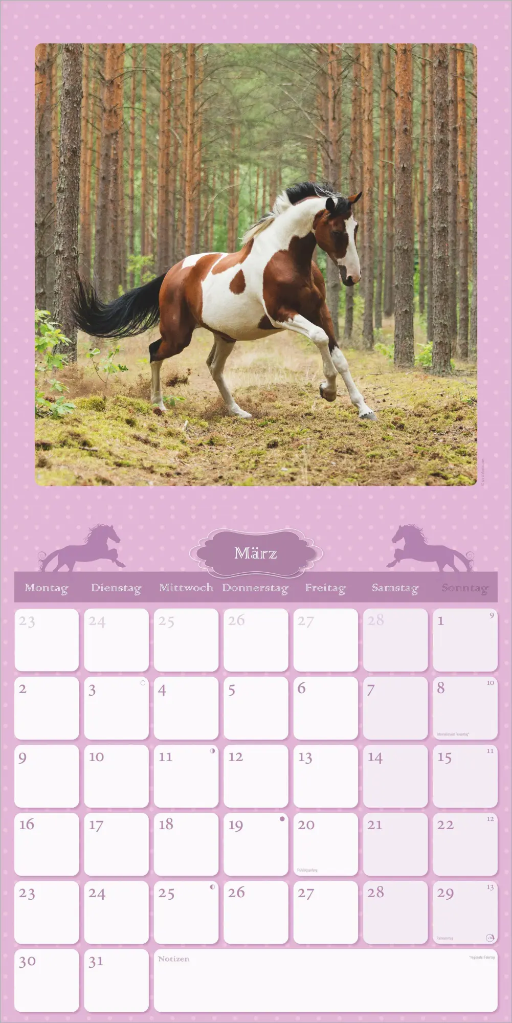 Bild: 4069095018648 | Mein Pferdekalender 2027 | Neumann Verlage GmbH &amp; Co KG | Kalender