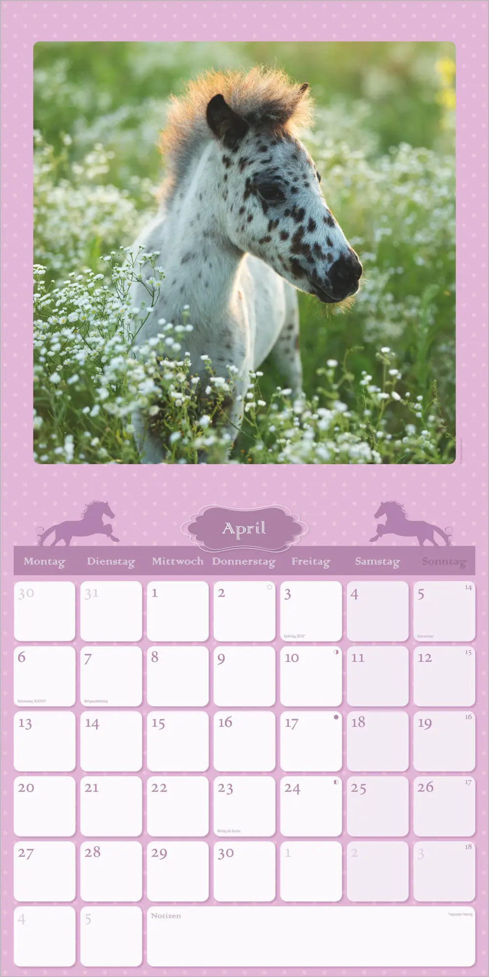 Bild: 4069095018648 | Mein Pferdekalender 2027 | Neumann Verlage GmbH &amp; Co KG | Kalender
