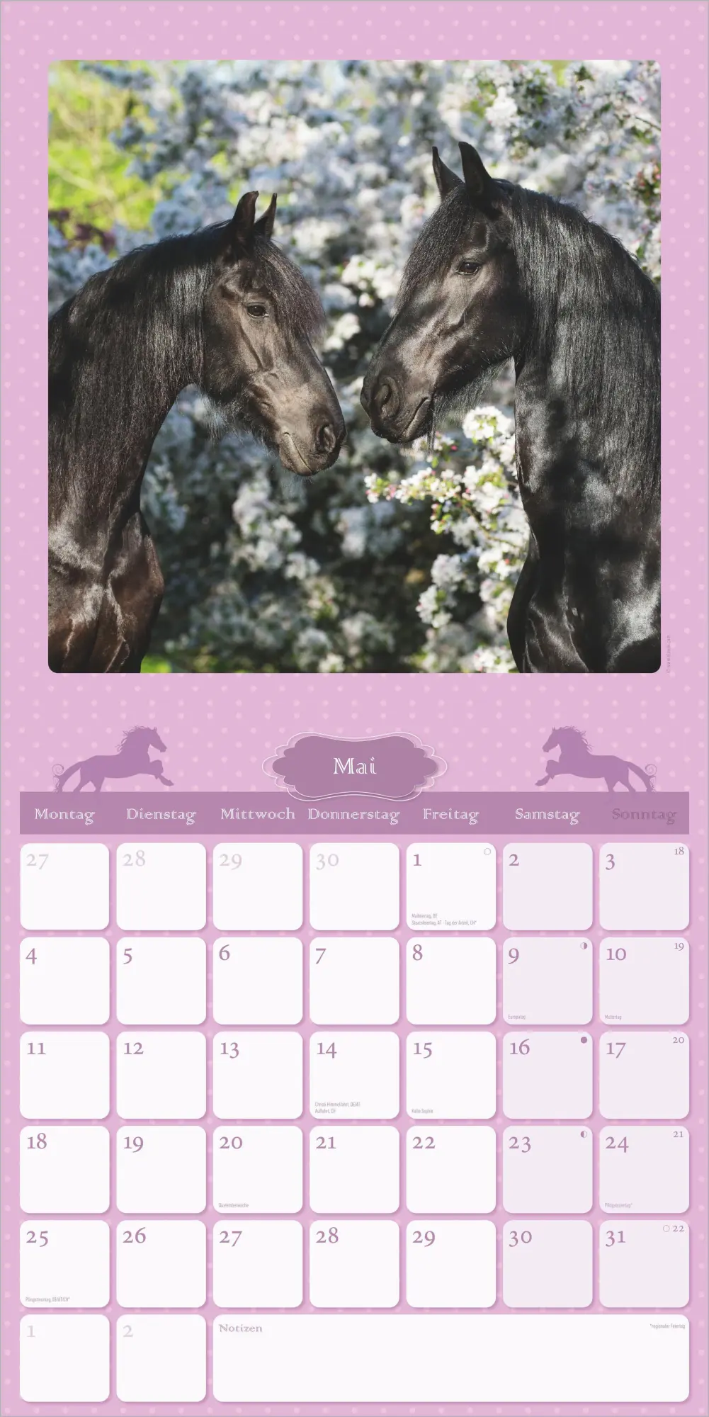 Bild: 4069095018648 | Mein Pferdekalender 2027 | Neumann Verlage GmbH &amp; Co KG | Kalender