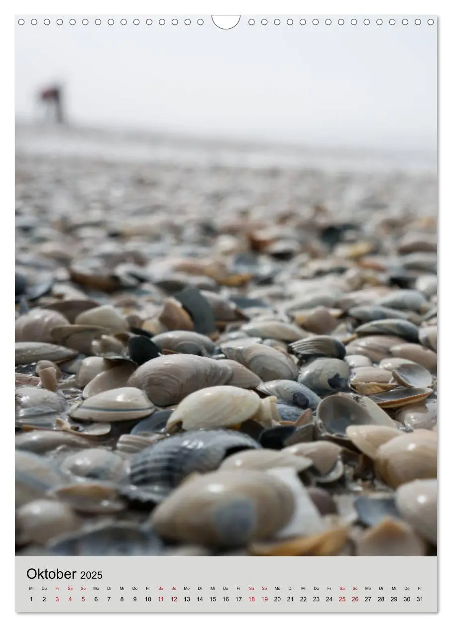 Bild: 9783435988648 | Ameland Wunderschöne Insel (Wandkalender 2025 DIN A3 hoch),...