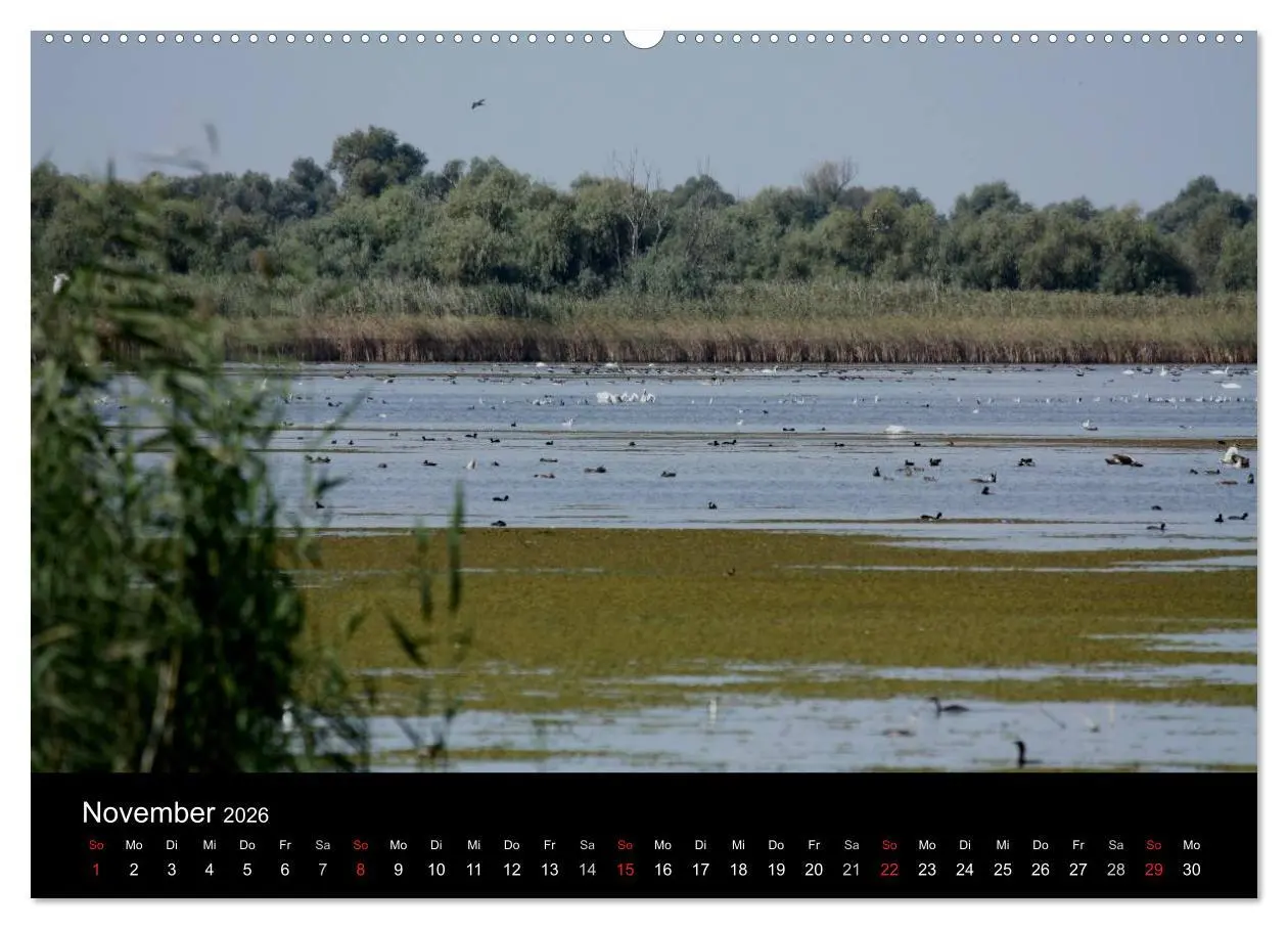 Bild: 9783516168648 | Donaudelta (Wandkalender 2026 DIN A2 quer), CALVENDO Monatskalender