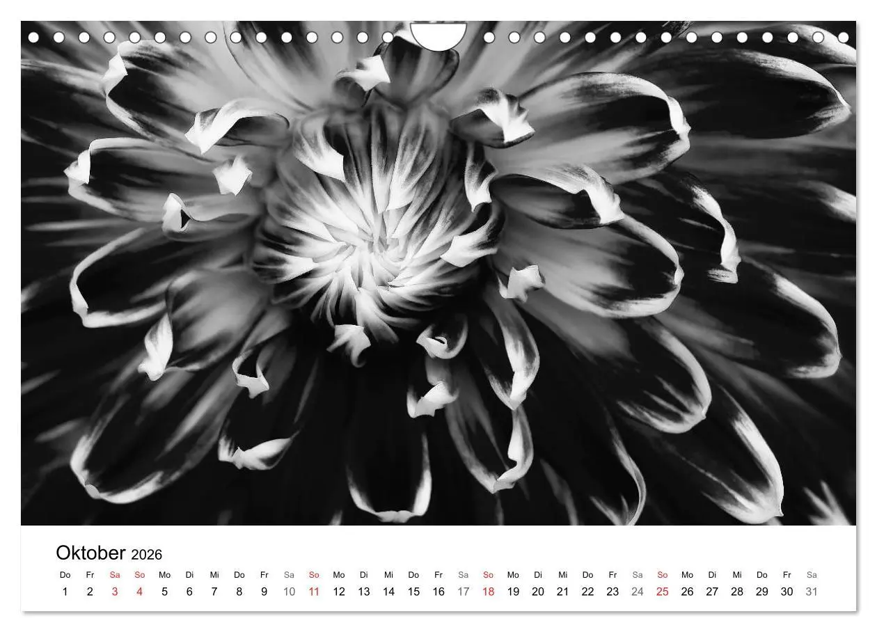 Bild: 9783516088748 | Blumen 2026, Schwarz-Weiß (Wandkalender 2026 DIN A4 quer), CALVENDO...