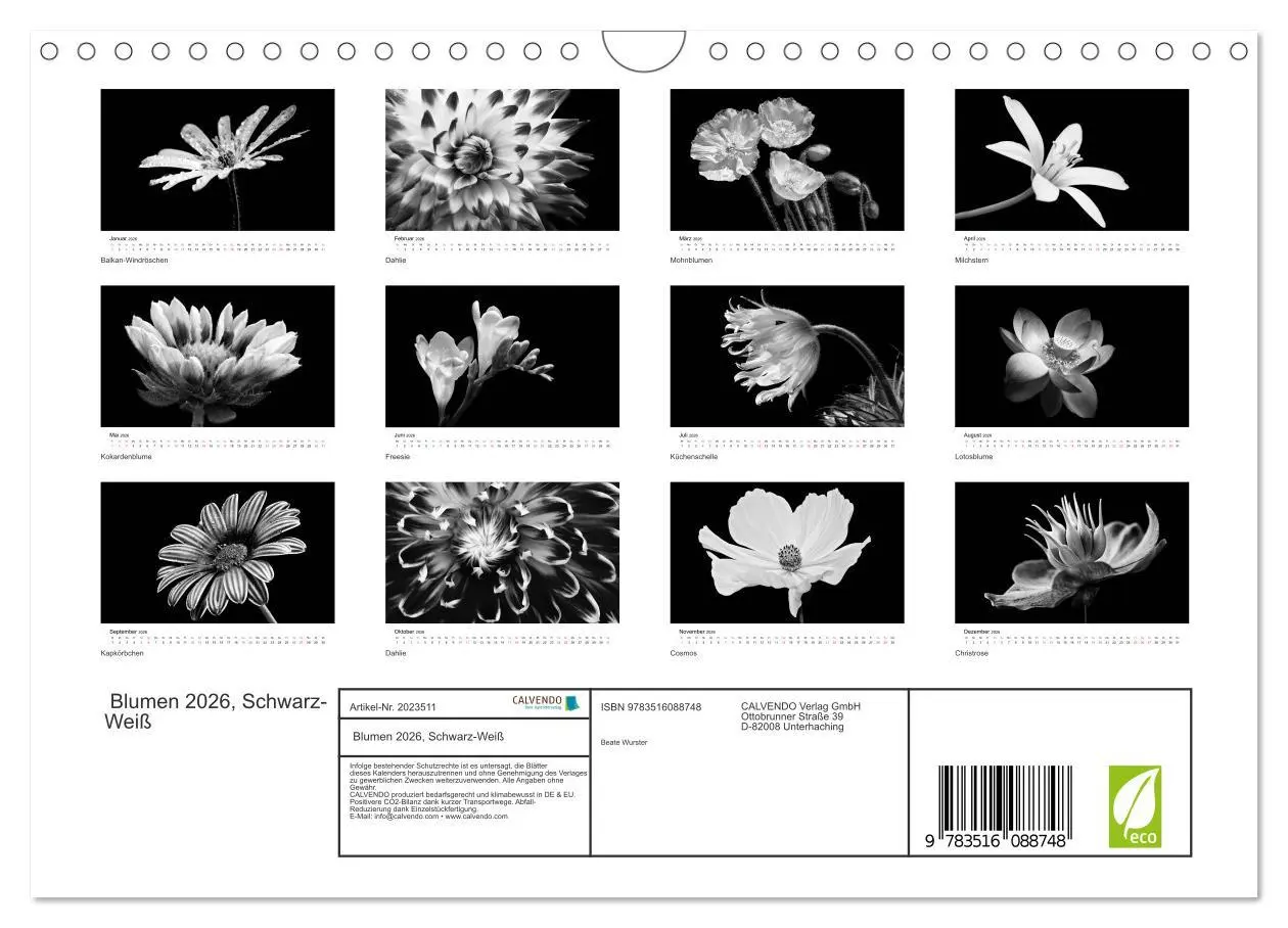 Bild: 9783516088748 | Blumen 2026, Schwarz-Weiß (Wandkalender 2026 DIN A4 quer), CALVENDO...