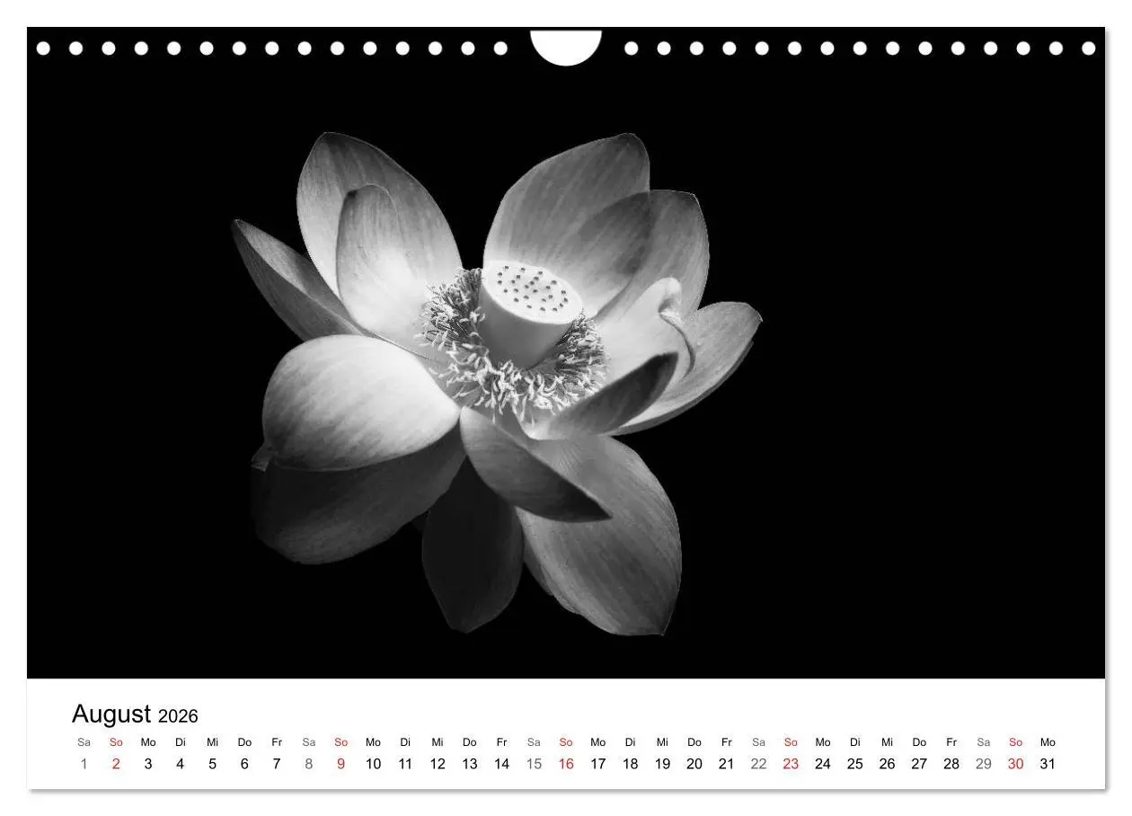 Bild: 9783516088748 | Blumen 2026, Schwarz-Weiß (Wandkalender 2026 DIN A4 quer), CALVENDO...