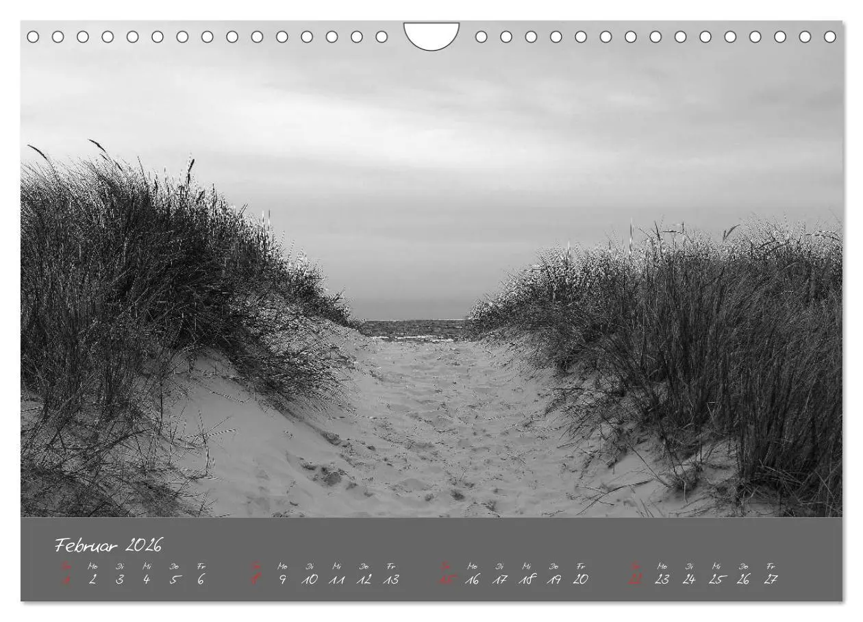 Bild: 9783516228748 | Wege zum Meer (Wandkalender 2026 DIN A4 quer), CALVENDO Monatskalender