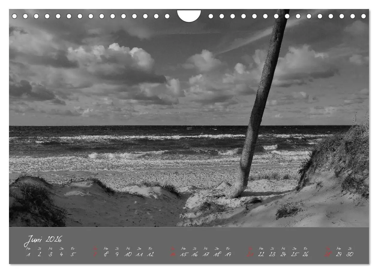 Bild: 9783516228748 | Wege zum Meer (Wandkalender 2026 DIN A4 quer), CALVENDO Monatskalender