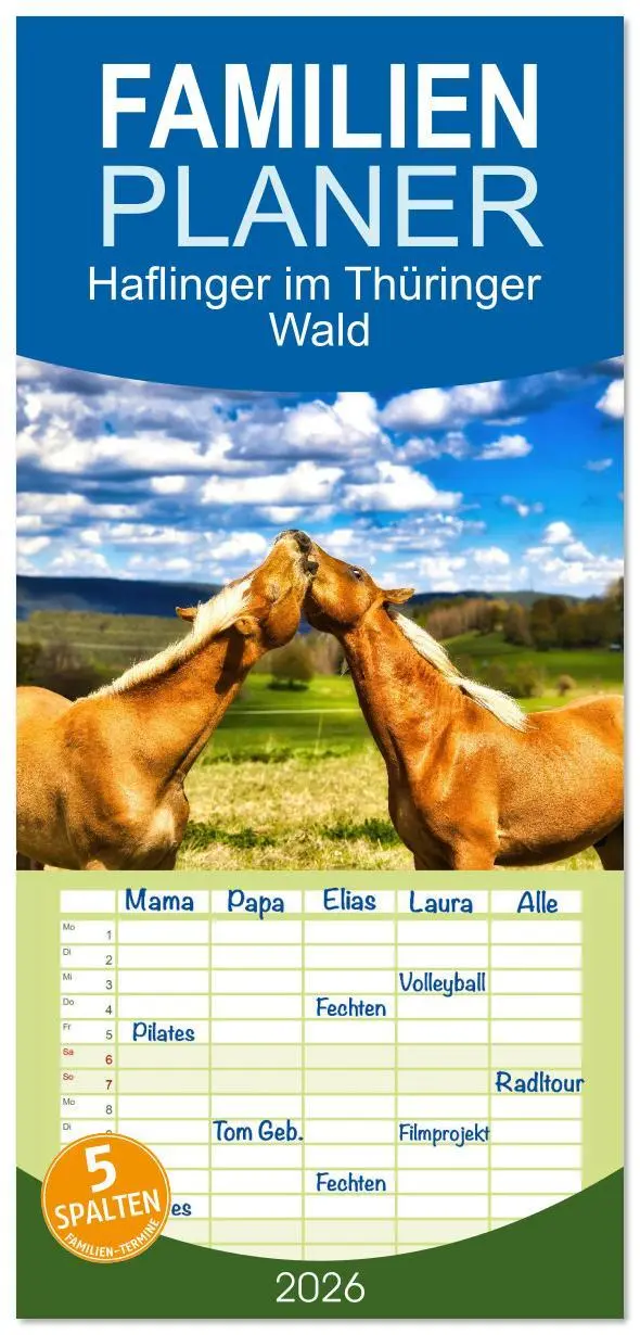 Cover: 9783516608748 | Familienplaner 2026 - Haflinger im Thüringer Wald mit 5 Spalten...