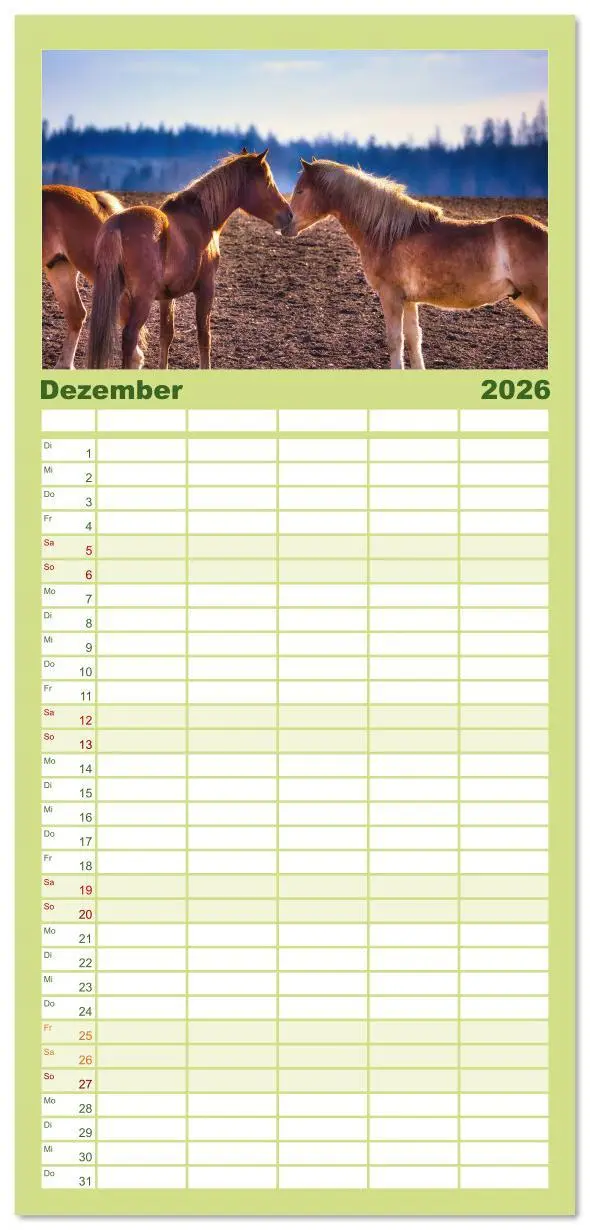 Bild: 9783516608748 | Familienplaner 2026 - Haflinger im Thüringer Wald mit 5 Spalten...
