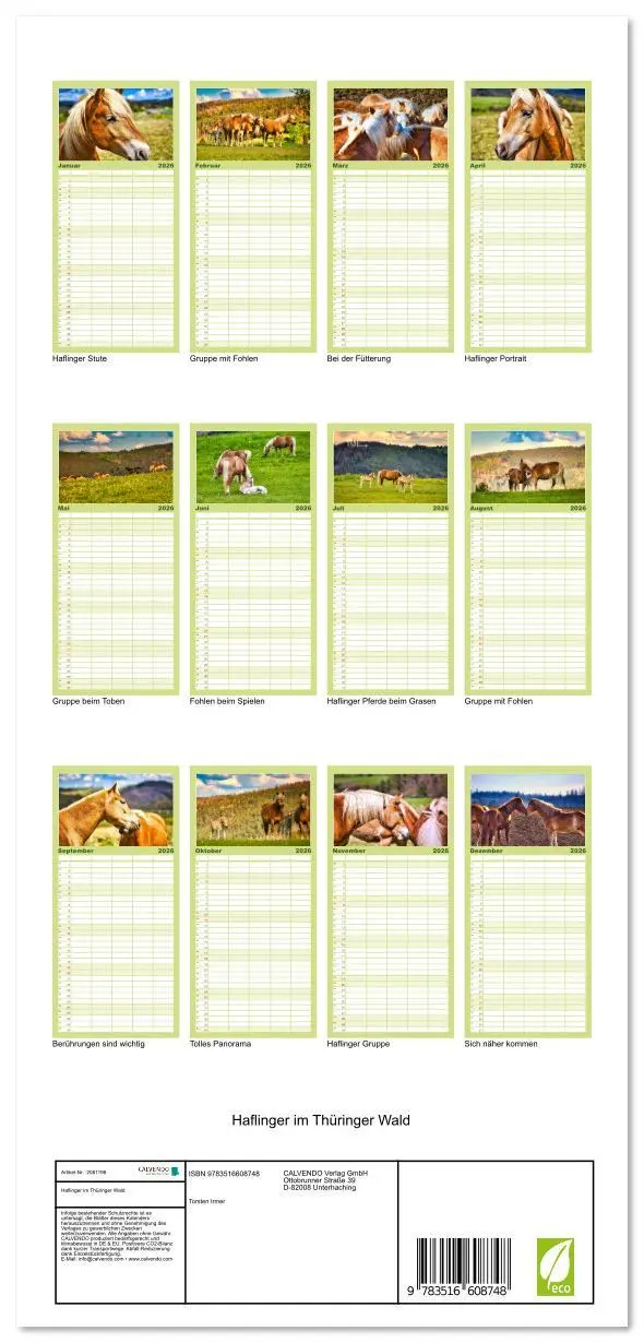 Bild: 9783516608748 | Familienplaner 2026 - Haflinger im Thüringer Wald mit 5 Spalten...