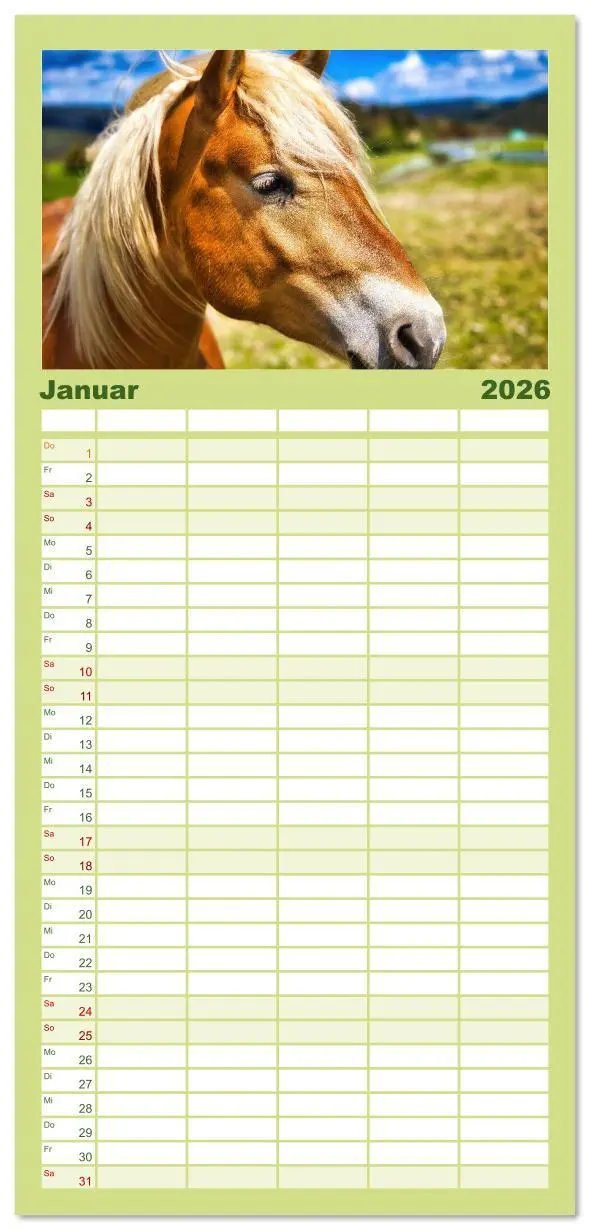 Bild: 9783516608748 | Familienplaner 2026 - Haflinger im Thüringer Wald mit 5 Spalten...