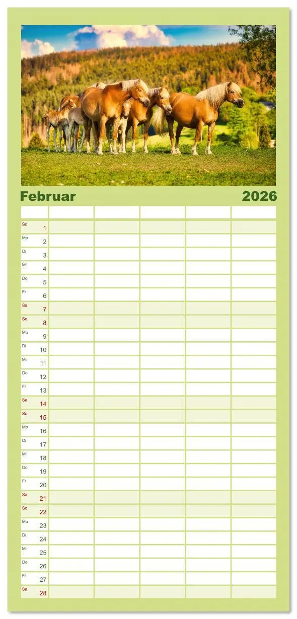 Bild: 9783516608748 | Familienplaner 2026 - Haflinger im Thüringer Wald mit 5 Spalten...