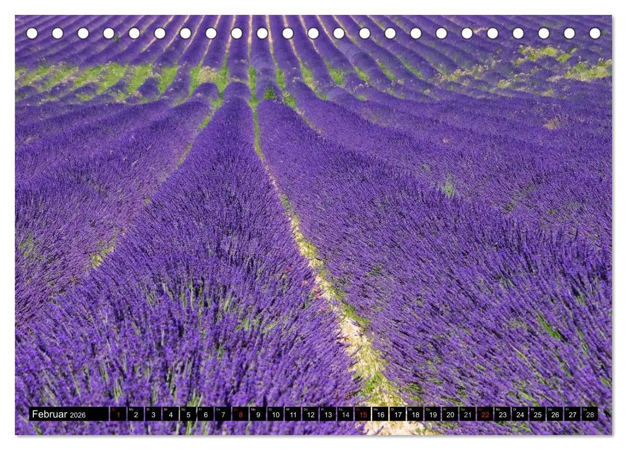 Bild: 9783516148848 | Lavendel (Tischkalender 2026 DIN A5 quer), CALVENDO Monatskalender