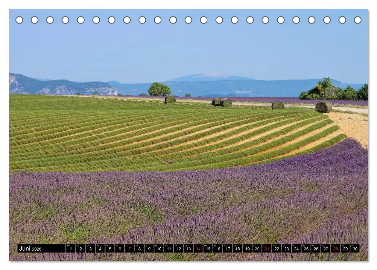 Bild: 9783516148848 | Lavendel (Tischkalender 2026 DIN A5 quer), CALVENDO Monatskalender