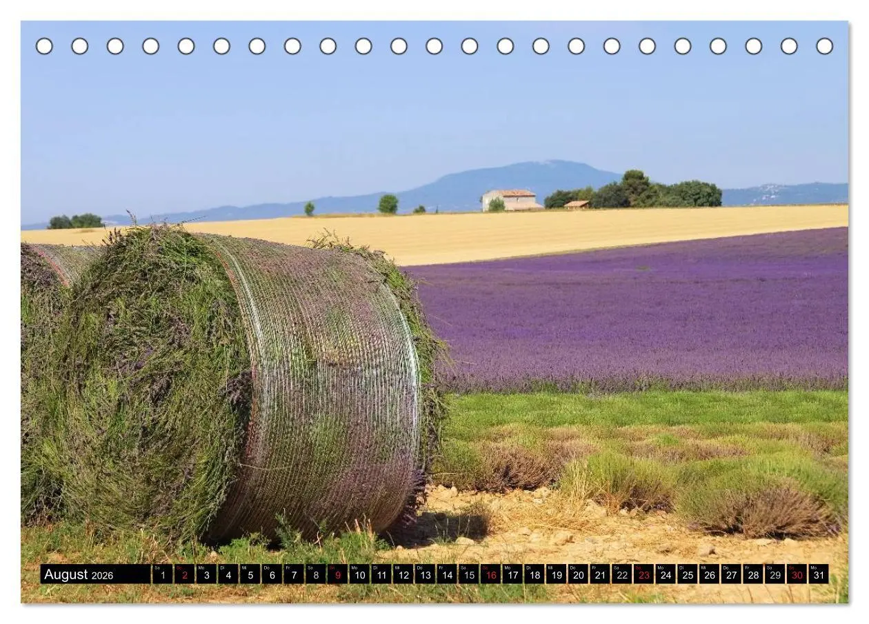 Bild: 9783516148848 | Lavendel (Tischkalender 2026 DIN A5 quer), CALVENDO Monatskalender