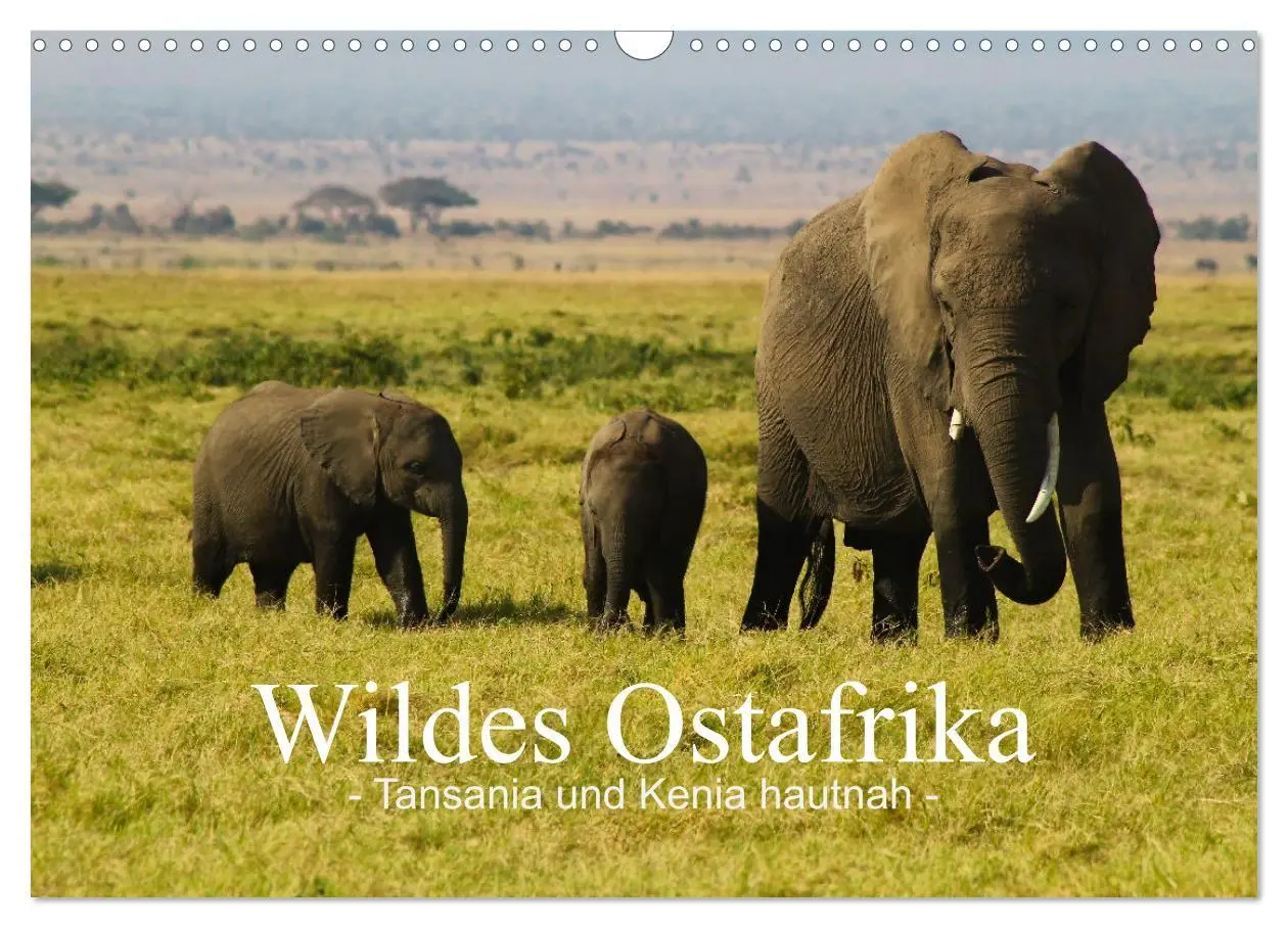 Cover: 9783516698848 | Wildes Ostafrika - Tansania und Kenia hautnah (Wandkalender 2026...