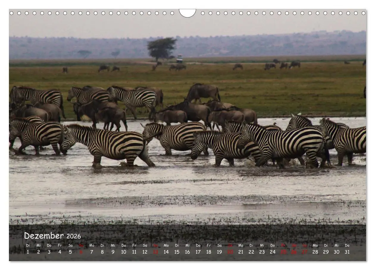 Bild: 9783516698848 | Wildes Ostafrika - Tansania und Kenia hautnah (Wandkalender 2026...