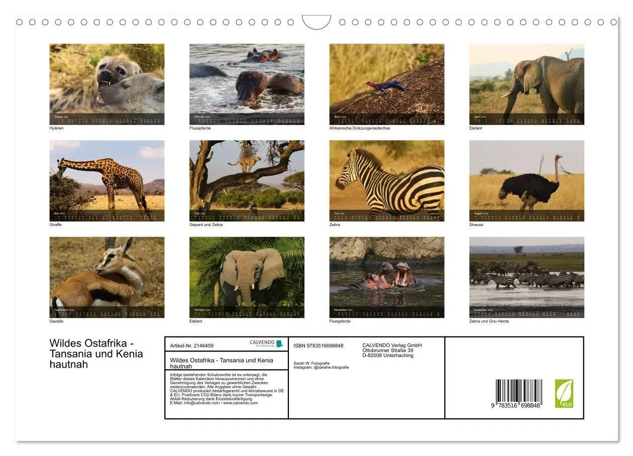 Bild: 9783516698848 | Wildes Ostafrika - Tansania und Kenia hautnah (Wandkalender 2026...