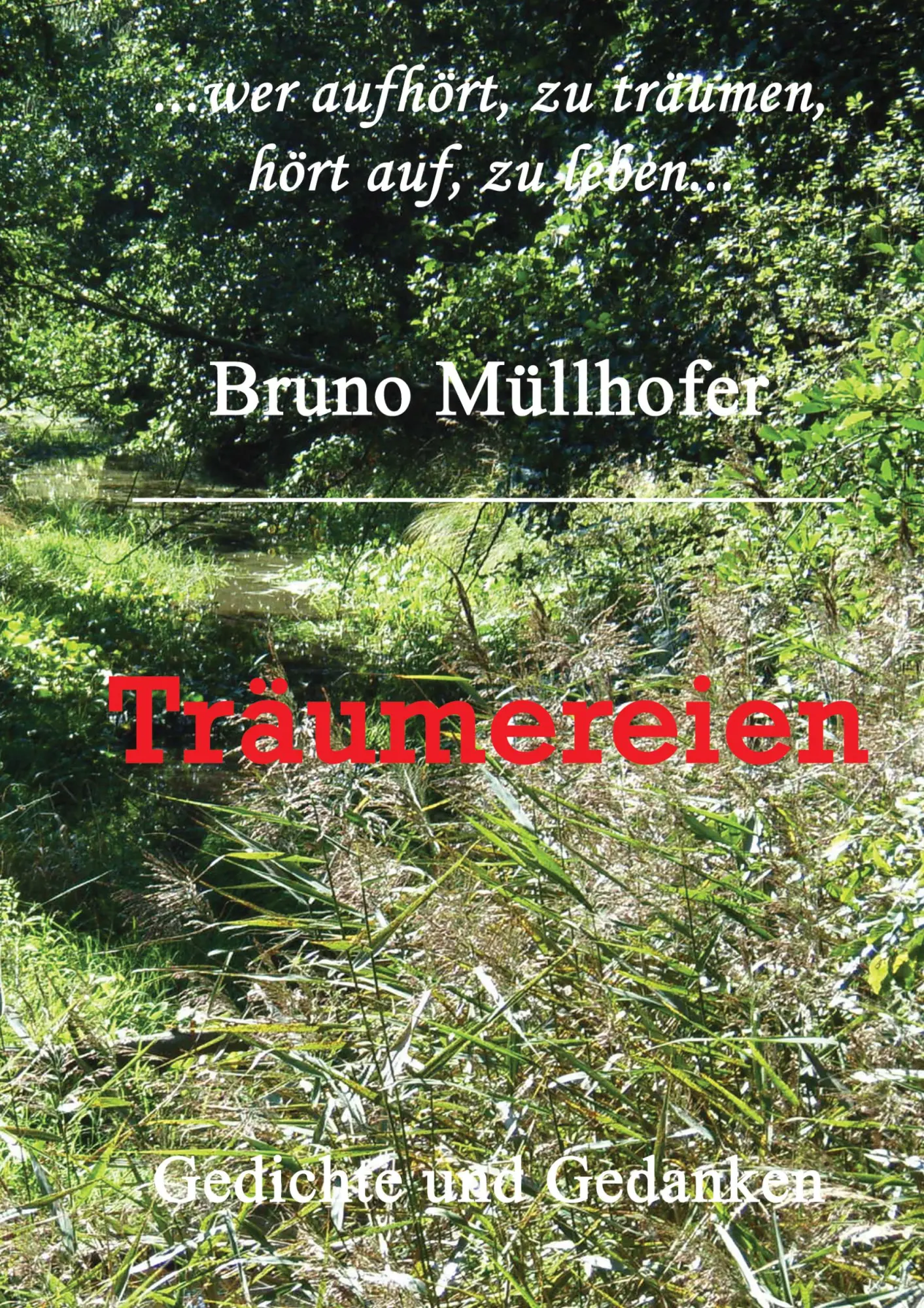 Träumereien: Gedichte und Gedanken