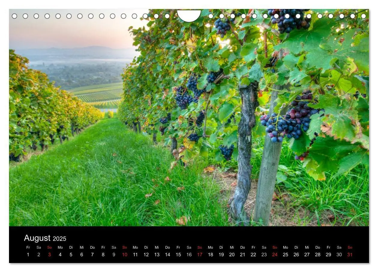 Bild: 9783435718948 | Weinberge im Remstal (Wandkalender 2025 DIN A4 quer), CALVENDO...