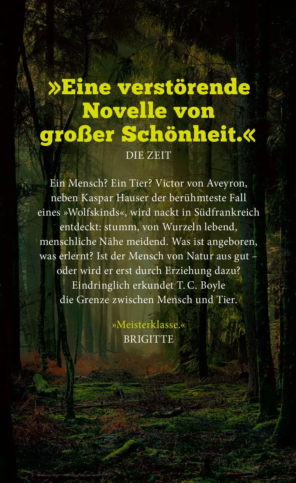 Bild: 9783446289048 | Das wilde Kind | T. C. Boyle | Taschenbuch | 112 S. | Deutsch | 2026