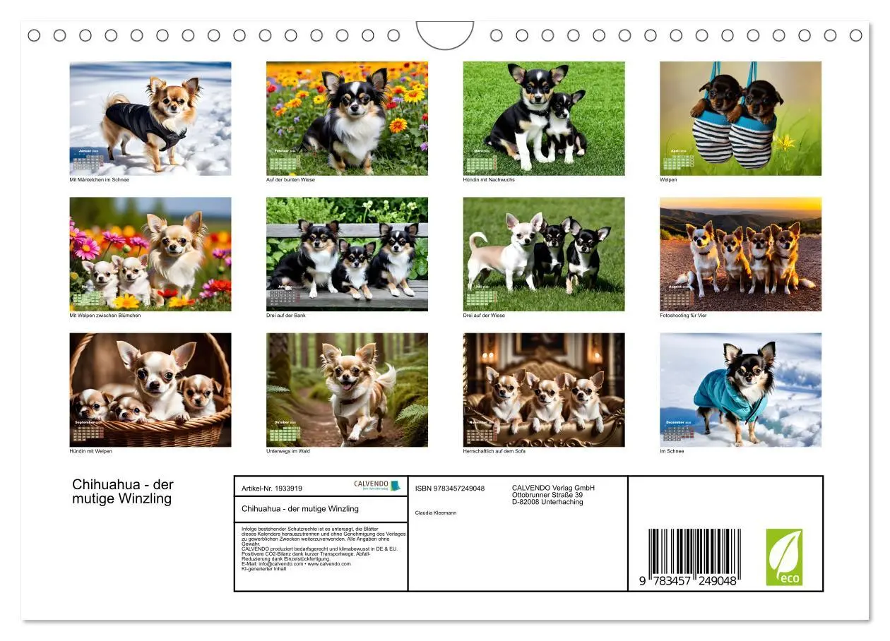 Bild: 9783457249048 | Chihuahua - der mutige Winzling (Wandkalender 2026 DIN A4 quer),...