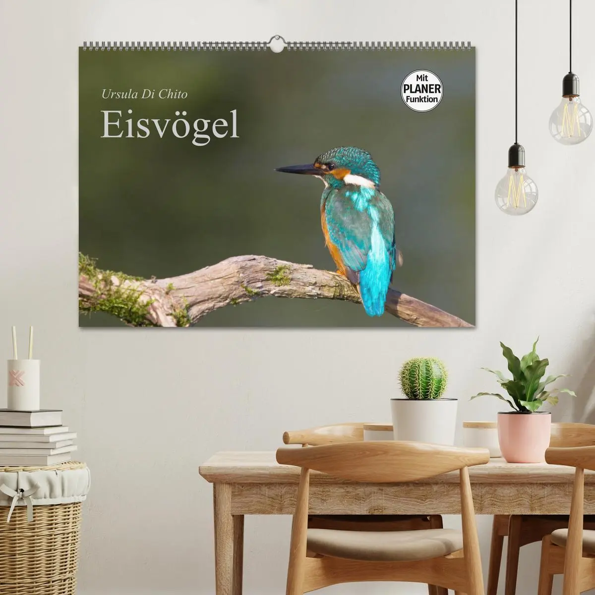 Bild: 9783516189148 | Eisvögel (Wandkalender 2026 DIN A2 quer), CALVENDO Monatskalender