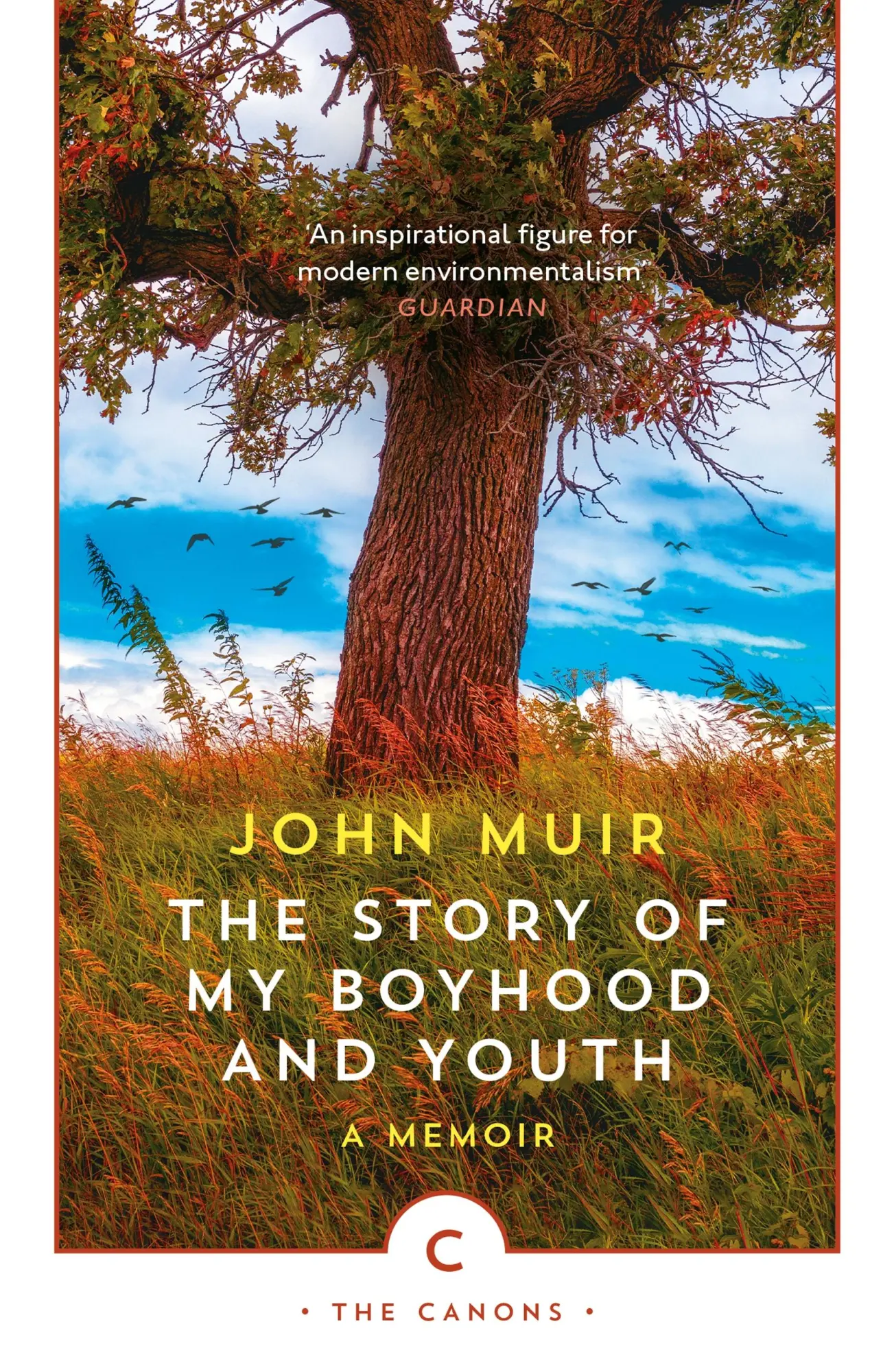 Cover: 9781786899248 | The Story of My Boyhood and Youth | John Muir | Taschenbuch | Englisch