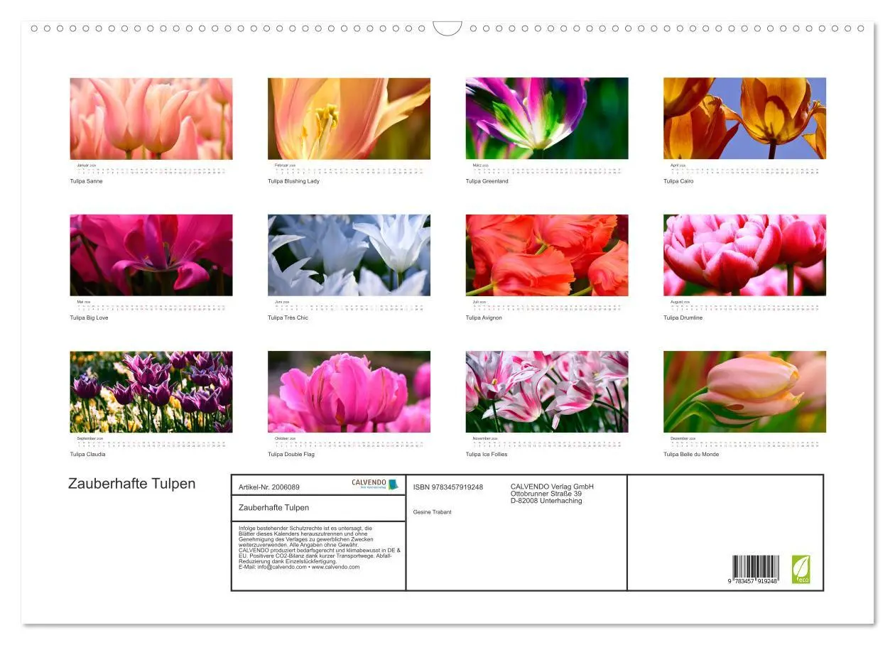 Bild: 9783457919248 | Zauberhafte Tulpen (Wandkalender 2026 DIN A2 quer), CALVENDO...