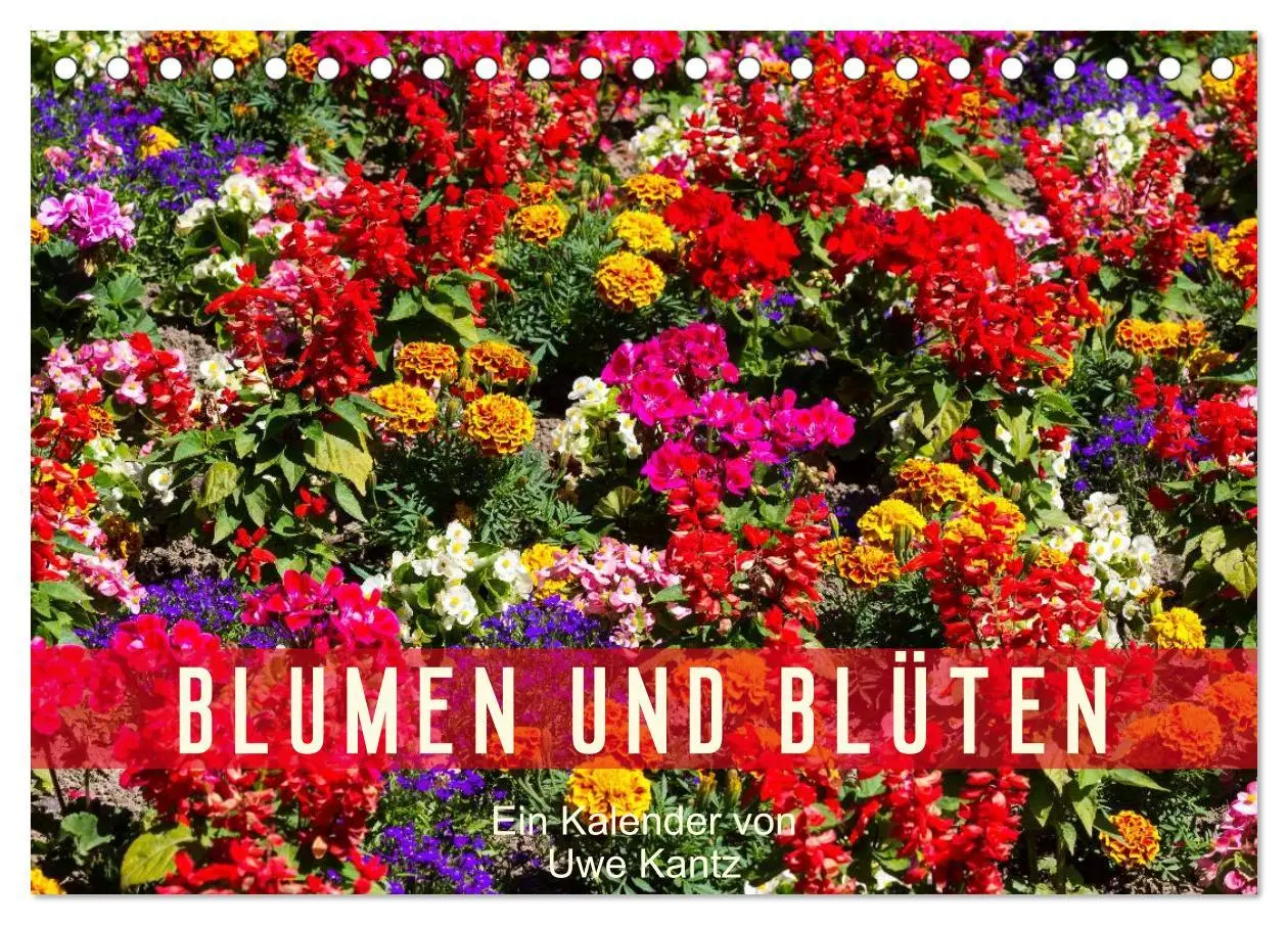 Cover: 9783516099348 | Blumen und Blüten (Tischkalender 2026 DIN A5 quer), CALVENDO...