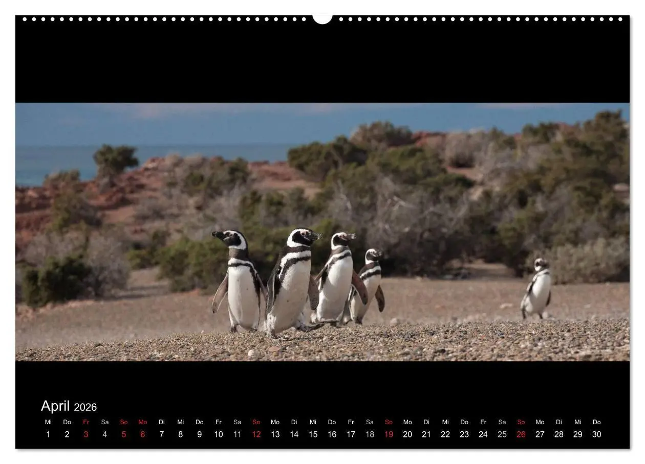 Bild: 9783516159448 | Patagonien - Ungezähmtes Land (hochwertiger Premium Wandkalender...