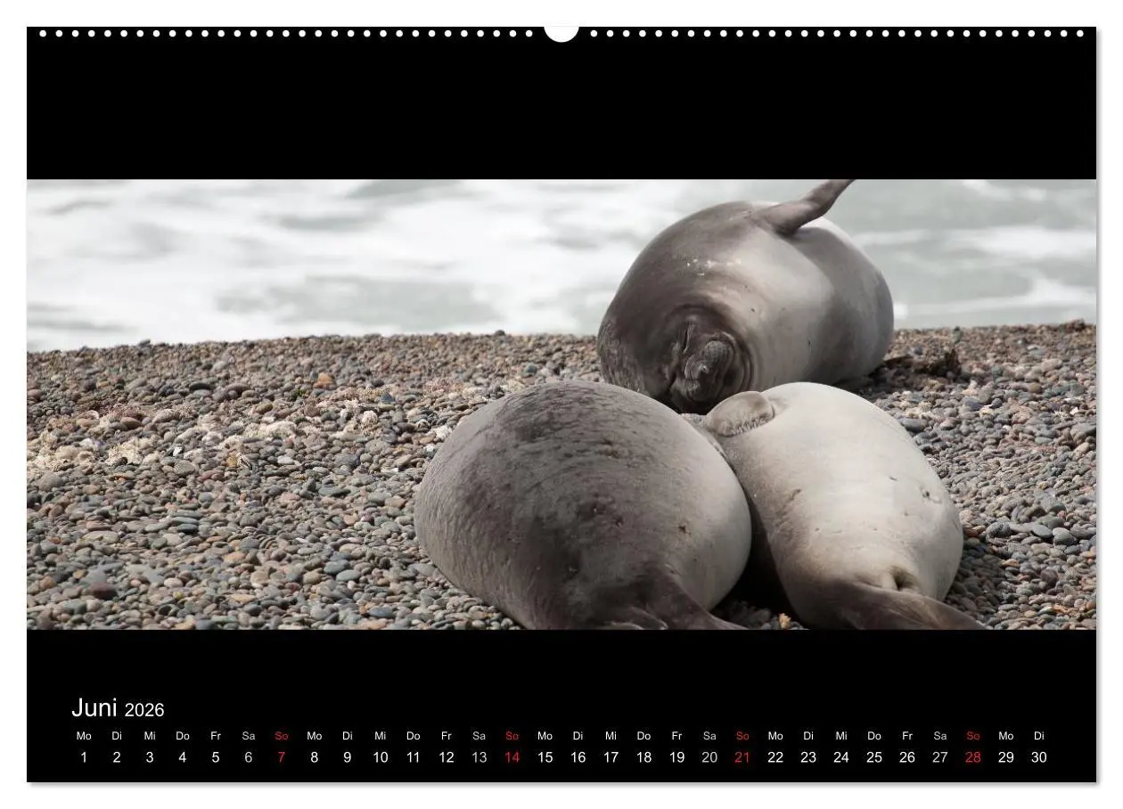 Bild: 9783516159448 | Patagonien - Ungezähmtes Land (hochwertiger Premium Wandkalender...