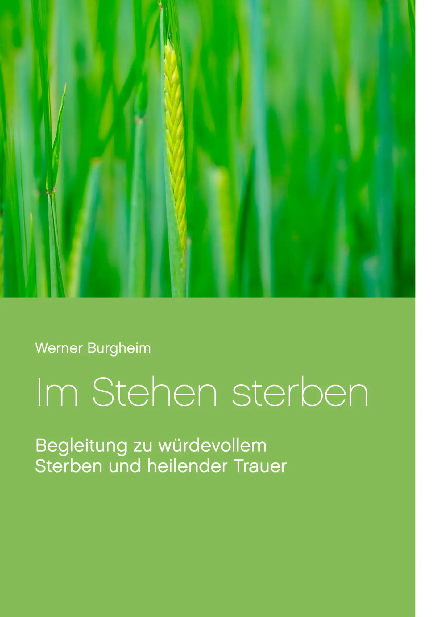Cover: 9783749429448 | Im Stehen sterben | Werner Burgheim | Taschenbuch | Paperback | 272 S.
