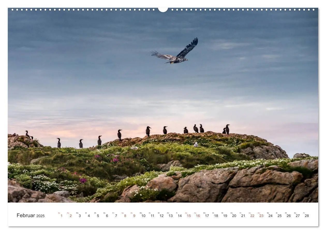 Bild: 9783435339648 | Nordland - Die Weite Skandinaviens (Wandkalender 2025 DIN A2 quer),...