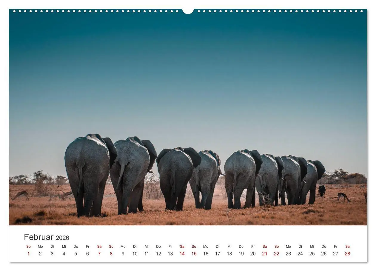 Bild: 9783457599648 | Namibia - Das wunderschöne Land am Atlantik. (Wandkalender 2026 DIN...