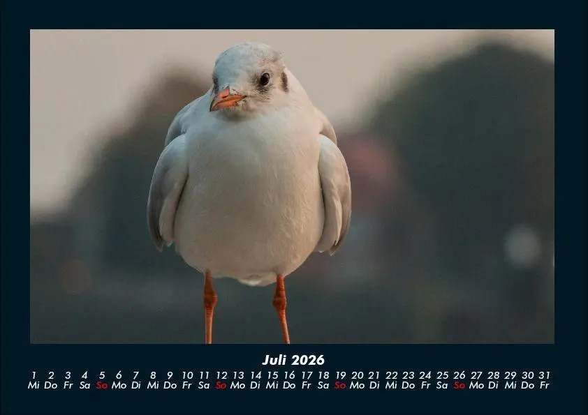Bild: 9783695409648 | Hamburg 2026 Fotokalender DIN A4 | Tobias Becker | Kalender | Deutsch